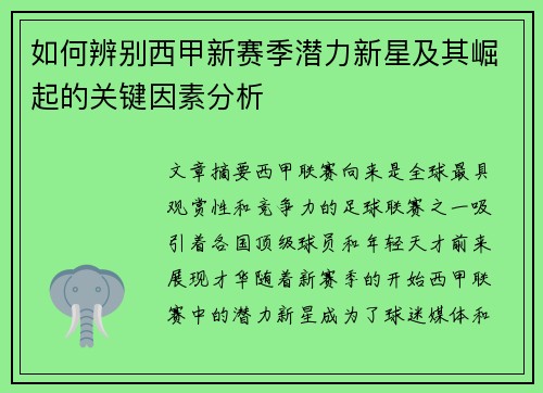 如何辨别西甲新赛季潜力新星及其崛起的关键因素分析
