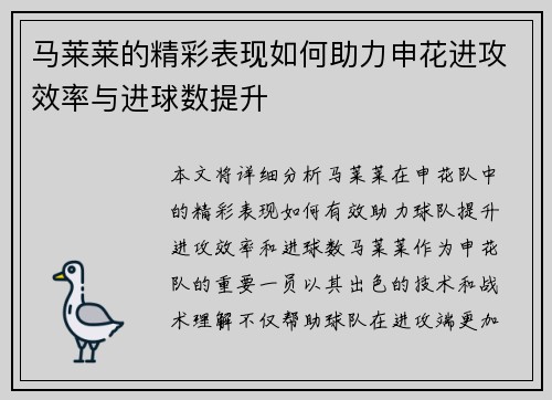 马莱莱的精彩表现如何助力申花进攻效率与进球数提升