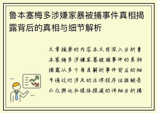 鲁本塞梅多涉嫌家暴被捕事件真相揭露背后的真相与细节解析